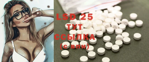 стаф Алексин