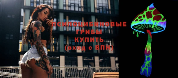 стаф Алексин