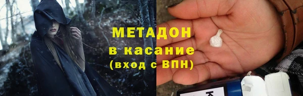 стаф Алексин