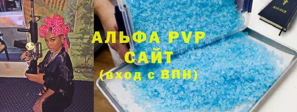стаф Алексин