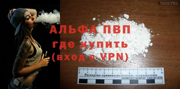 стаф Алексин