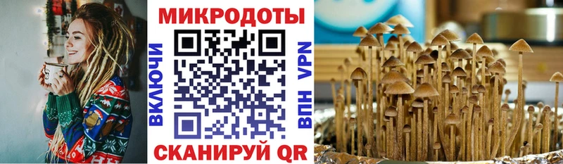 Псилоцибиновые грибы MAGIC MUSHROOMS  дарк нет Telegram  Ува  blacksprut сайт 